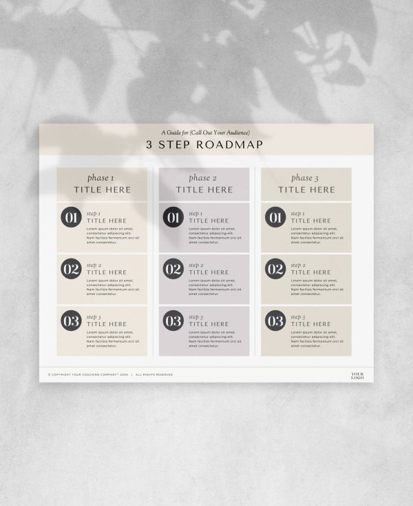 3 Step Roadmap